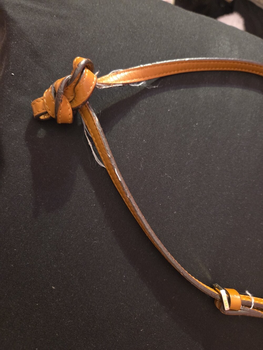 MCM Crossbody - Picture 8 of 9